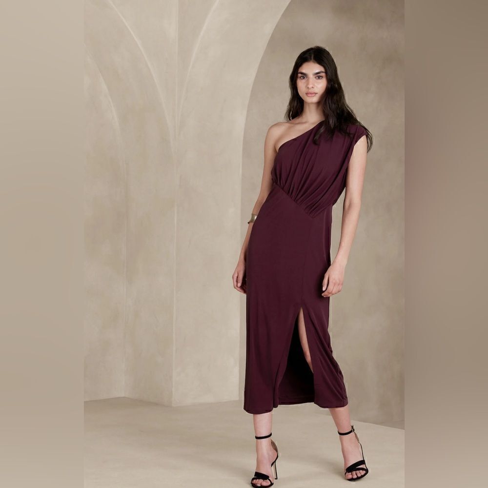 Banana Republic RADHI MIDI DRESS Size Small